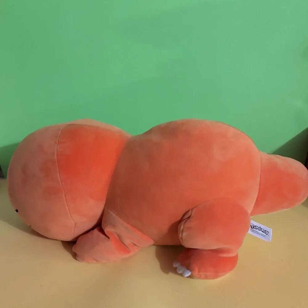 Pokémon Sleeping Charmander 18
